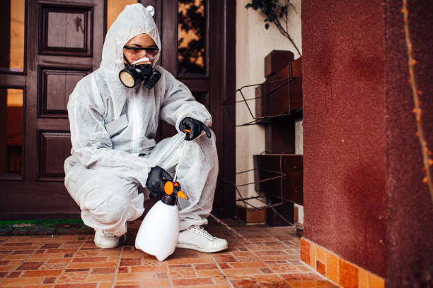Reliable Ant Control contractor in Vienna, GA by Show Me Pest Control